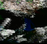 Natural Bridge Circuit Springbrook National Park - Accommodation Whitsundays