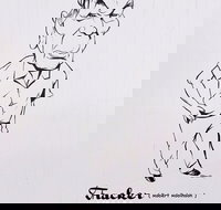 Nickname Hall of Fame - Accommodation Whitsundays