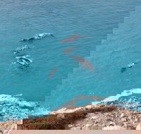 Nullarbor National Park - Accommodation Whitsundays