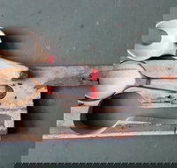 Phoenix Creations - Accommodation Whitsundays