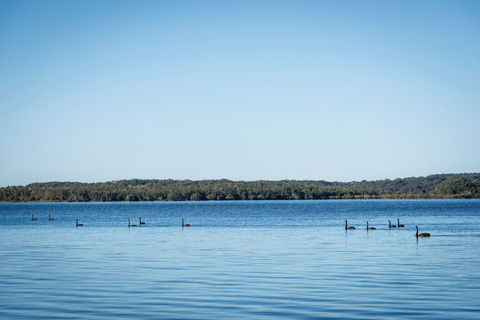 Queens Lake Picnic Area - Accommodation Whitsundays 1