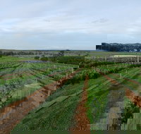 Razorback Cawdor Camden Park - Accommodation Whitsundays