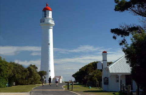 Split Point Lighthouse Tours Aireys Inlet - Accommodation Whitsundays 0