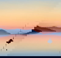 The Art of Richard Stanley Studio and Gallery - Accommodation Whitsundays