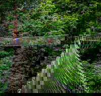 Thunderbird Park  - Tamborine Mountain Gold Coast Region - Accommodation Whitsundays