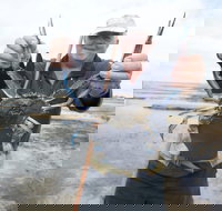 Tiddy Widdy Beach - Accommodation Whitsundays