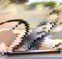 Toddler Thursdays at Werribee Open Range Zoo - Accommodation Whitsundays