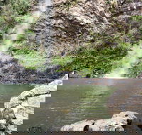 Twin Falls Circuit Springbrook National Park - Accommodation Whitsundays