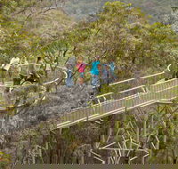 Walpole Wilderness Discovery Centre - Accommodation Whitsundays