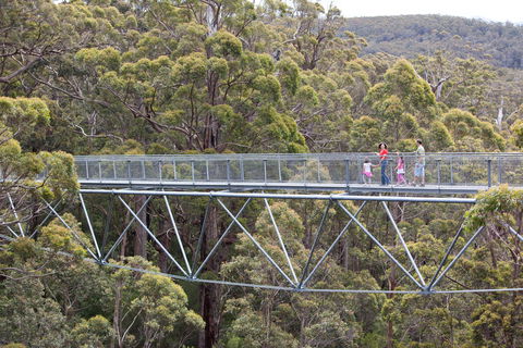 Walpole Wilderness Discovery Centre - Accommodation Whitsundays 1