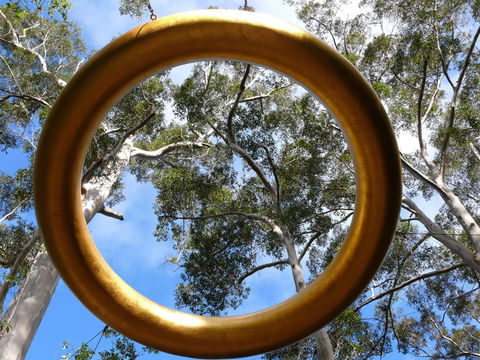 Walpole Wilderness Discovery Centre - Accommodation Whitsundays 2