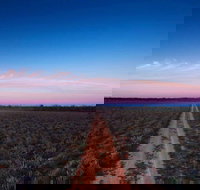 Yanga National Park - Accommodation Whitsundays