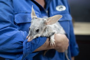 9 Day Outback Adventure