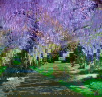 Alowyn Gardens and Nursery - Accommodation Whitsundays
