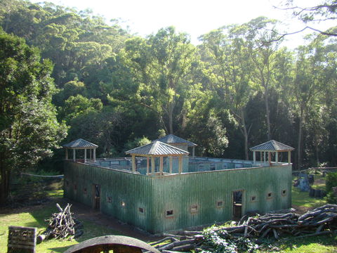 Alpha Paintball - Accommodation Whitsundays 0