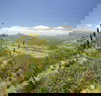 Border Ranges National Park - Accommodation Whitsundays