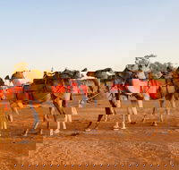 Broken Hill Camels - Accommodation Whitsundays