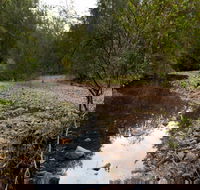 Budawang National Park - Accommodation Whitsundays