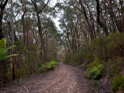Budawang National Park - Accommodation Whitsundays 1