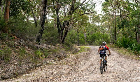 Cawleys Road Trail - Accommodation Whitsundays 0