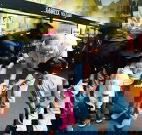 Crystal Kingdom - Accommodation Whitsundays