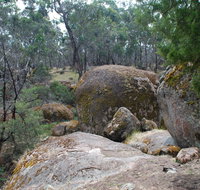 Dergholm State Park - Accommodation Whitsundays
