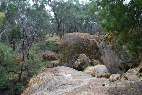 Dergholm State Park - Accommodation Whitsundays 0