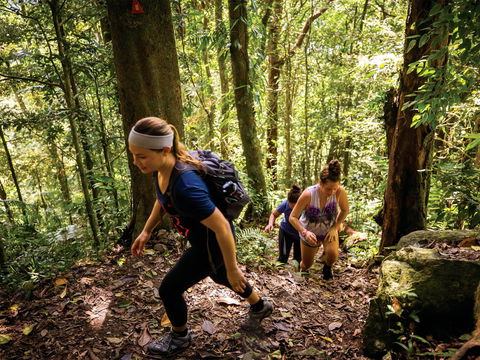 Devils Thumb (Manjal Jimalji) Trail - Accommodation Whitsundays 0