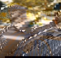 Evandale - Accommodation Whitsundays