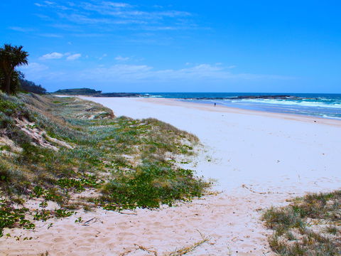 Frazers Reef - Accommodation Whitsundays 1
