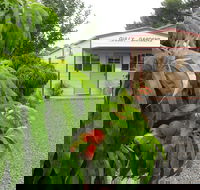 Gully Gardens - Accommodation Whitsundays