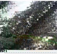 Henty Government Dam Nature Reserve - Accommodation Whitsundays