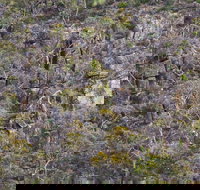 Horsnell Gully and Giles Conservation Parks - Accommodation Whitsundays