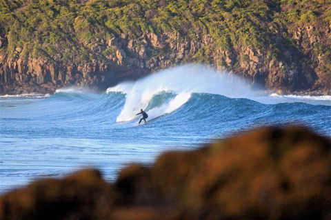 Killalea Reserve - Accommodation Whitsundays 1