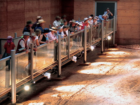 Lark Quarry Conservation Park - Accommodation Whitsundays 0