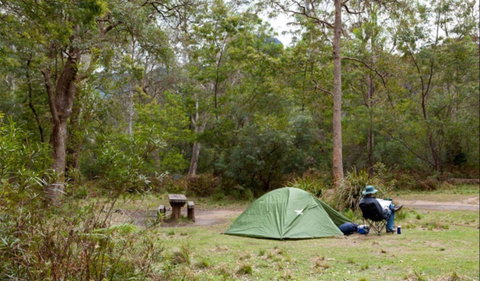 Long Gully Picnic Area - Accommodation Whitsundays 0