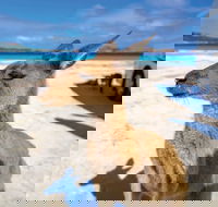 Lucky Bay - Accommodation Whitsundays