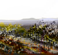 Mount View - Accommodation Whitsundays