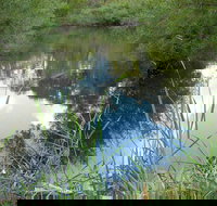 Mullion Range State Conservation Area - Accommodation Whitsundays