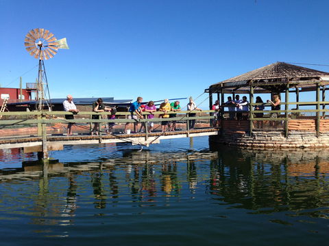 Ocean Park Aquarium - Accommodation Whitsundays 0