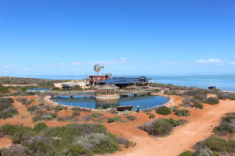 Ocean Park Aquarium - Accommodation Whitsundays 1