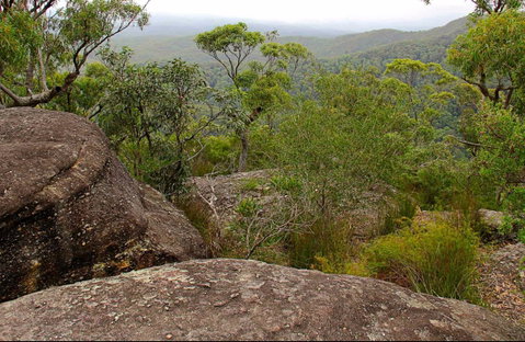 Pigeon House Mountain Didthul Walking Track - Accommodation Whitsundays 0