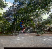 Samford Valley Rail Trail - Accommodation Whitsundays