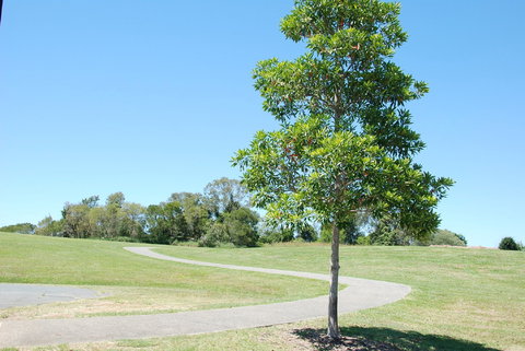 Samford Valley Rail Trail - Accommodation Whitsundays 2