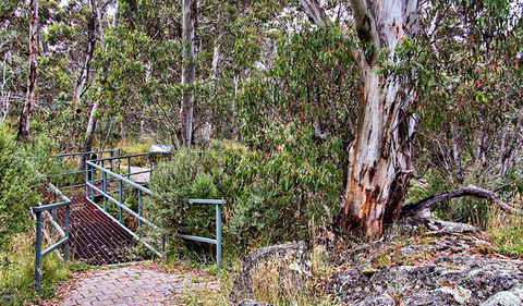 Sawpit Walking Track - Accommodation Whitsundays 0