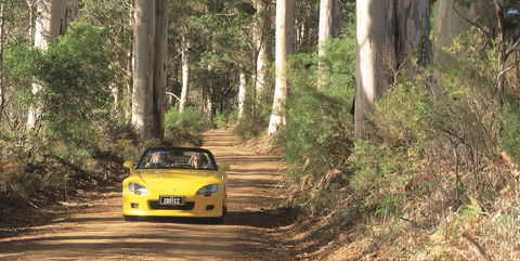 Scotsdale Tourist Drive - Accommodation Whitsundays 0