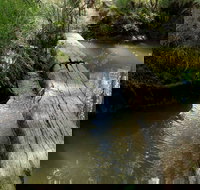 Second Ponds Creek Walk - Accommodation Whitsundays