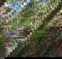 Thylogale Track - Accommodation Whitsundays