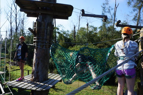 Trees Adventure - Lane Poole Park - Accommodation Whitsundays 0