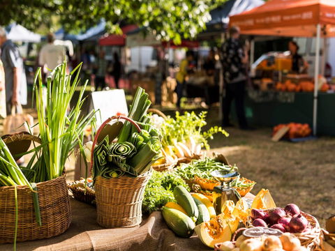 Warragul Farmers Market - Accommodation Whitsundays 1